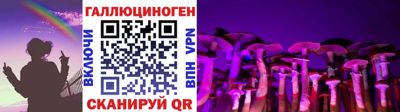 как найти   Сосновый Бор  Псилоцибиновые грибы Magic Shrooms 